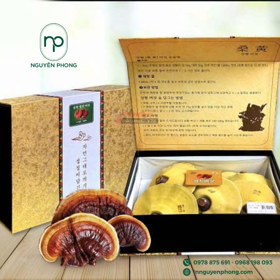 in-hop-giay-dung-linh-chi-gia-re-tai-ha-noi